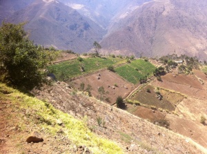 Pitajaya on the right side of this ridge, with it's potato fields alongside  